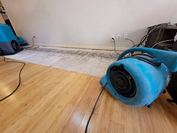 Professional Water Extraction technician working in Aurora, IN